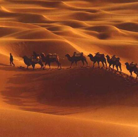 西安建設(shè)絲綢之路經(jīng)濟帶（新起點）戰(zhàn)略規(guī)劃國際招標代理